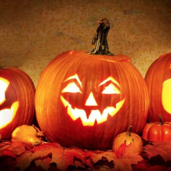 Pumpkins and Halloween!