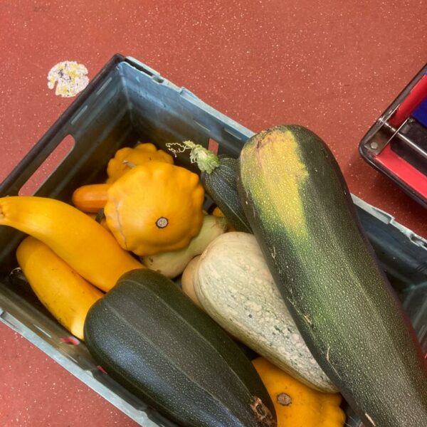 Marvellous Marrows!