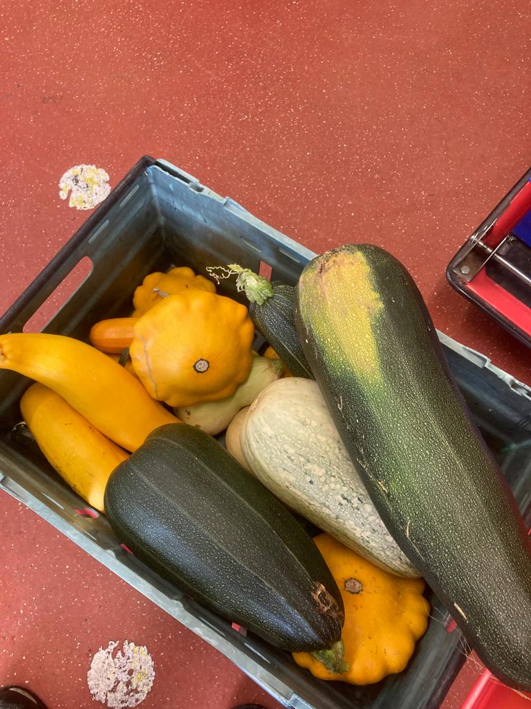 marrows, squash, courgettes