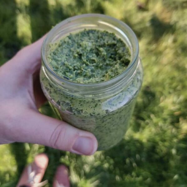Limp Spinach? Make This Vibrant Spinach Pesto!