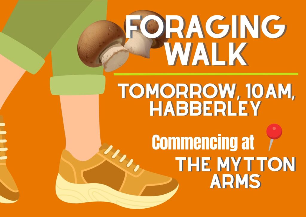 Poster advertising a Shrewsbury Food Hub foraging walk starting at The Mytton Arms in Habberley at 10am tomorrow.