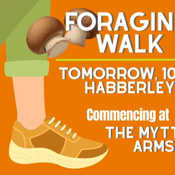 Fancy a Forage?